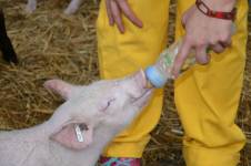 Christine LE GUYADEC - leguyadecc@gmail.com