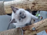 Christine LE GUYADEC - leguyadecc@gmail.com