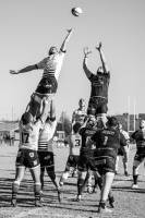 Alain RACINE - STUDIO PHOTO RACINE