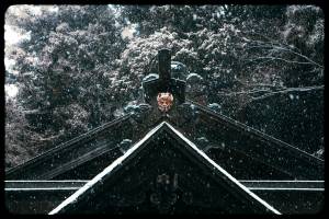 Adrien MOTTE - Adrien MOTTE