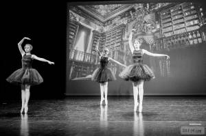 Christine LE GUYADEC - leguyadecc@gmail.com