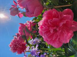 Christine LE GUYADEC - leguyadecc@gmail.com