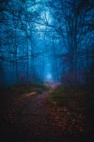 Davy AHOUA - STUDIO VISUALIZER